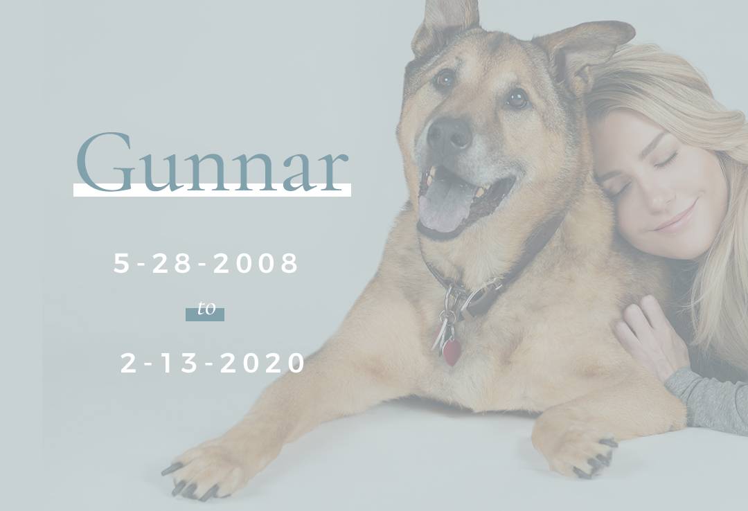 graphic of Gunnar and Shannon Curry